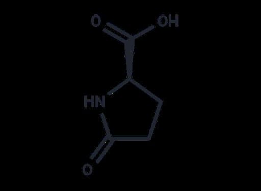 (R)-5-Oxopyrrolidine-2-carboxylic acid