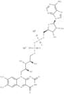 Flavin adenine dinucleotide disodium salt