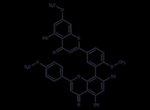 Sciadopitysin