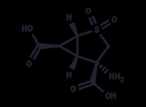 LY404039