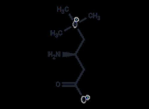 Aminocarnitine