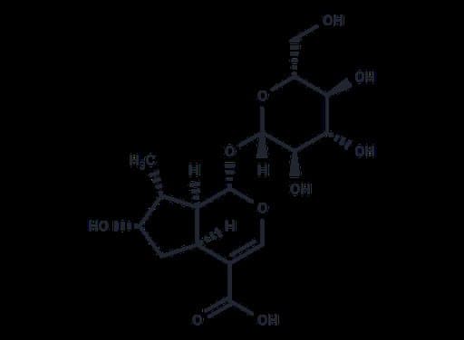 Loganic acid