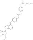 Adenosine amine congener