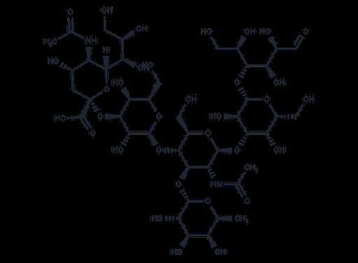 Sialyl lewis x-lactose
