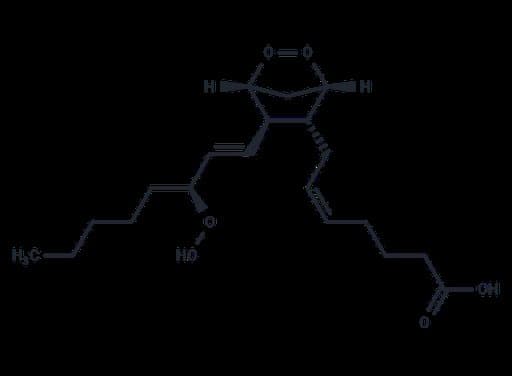 Prostaglandin G2