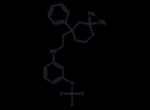 ICMT-IN-55