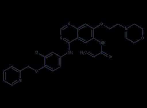 Tuxobertinib