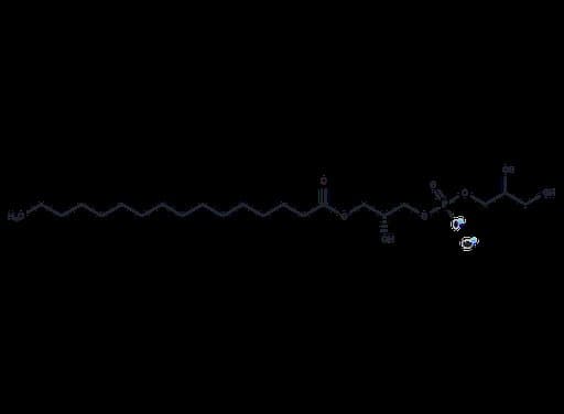 LysoFos Glycerol 16