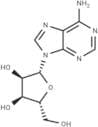 Adenosine (Standard)