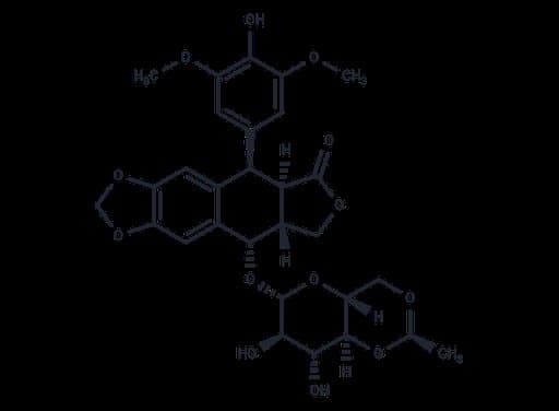 Etoposide (Standard)
