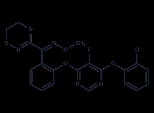 Fluoxastrobin (Standard)