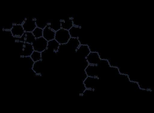 Liposidomycin C