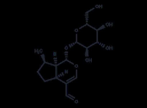 Boschnaloside