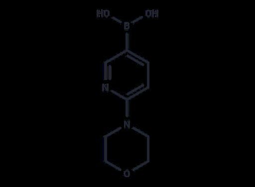 2-(Morpholino)pyridin-5-yl boronic acid