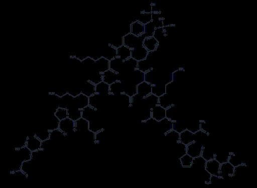 Tyrosine Protein Kinase JAK 2 (Phospho-Tyr8, 9)
