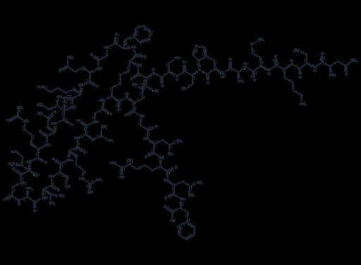 Brain Natriuretic Peptide (1-32), rat