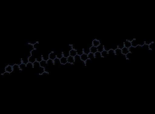 Adrenomedullin (1-50), rat