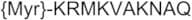Pep2m, myristoylated