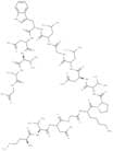 Rac1 Inhibitor W56