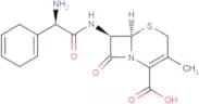 Cephradine