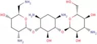 Tobramycin