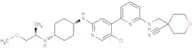 NVP-2
