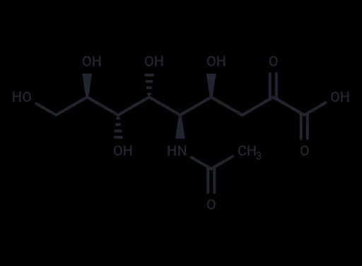 N-Acetylneuraminic acid