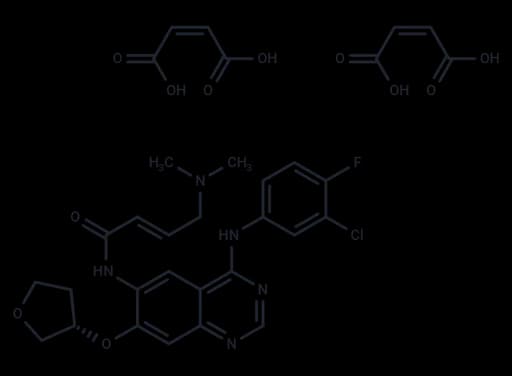 Afatinib Dimaleate