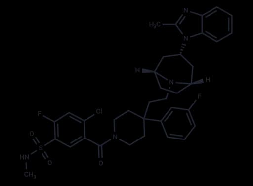 GSK163929