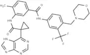 pan-Raf/RTK inhibitor 1