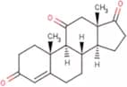 Adrenosterone