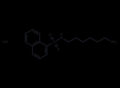 W-5 hydrochloride