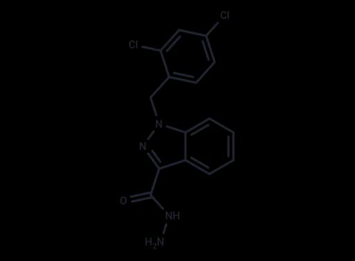 Adjudin