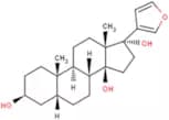 Rostafuroxin