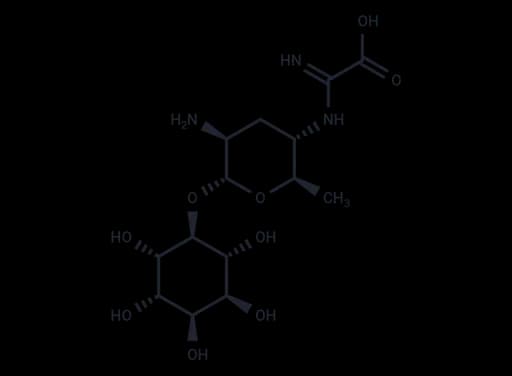 Kasugamycin