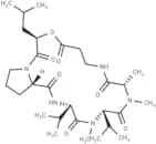 Destruxin B2