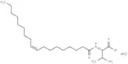 N-Oleoyl Valine Ammonium salt