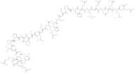 Phospho-Glycogen Synthase Peptide-2(substrate)