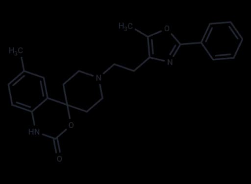 RS 504393
