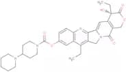 Irinotecan