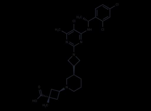 RPT193