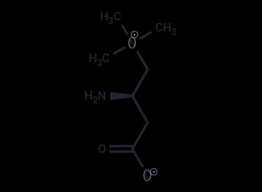 Aminocarnitine