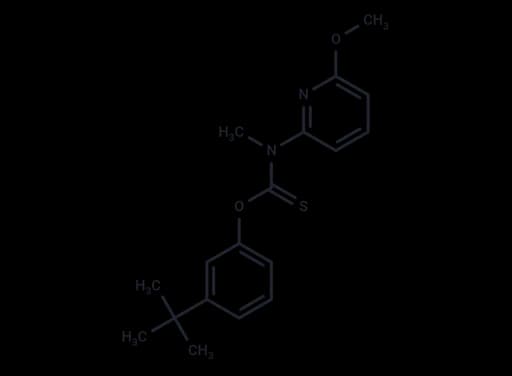 Pyributicarb