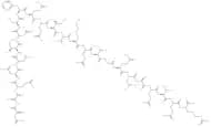 GnRH Associated Peptide (1-24), human