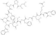 Kisspeptin 13