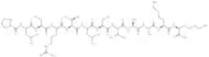 [Ala9,10, Lys11,12] Glycogen Synthase (1-12)