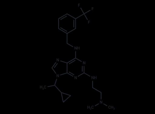 NCC007