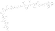 FITC-εAhx-HHV-2 Envelope Glycoprotein G (561-578)