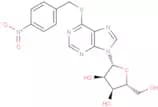 Nitrobenzylthioinosine