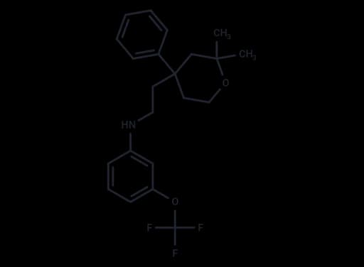 ICMT-IN-55